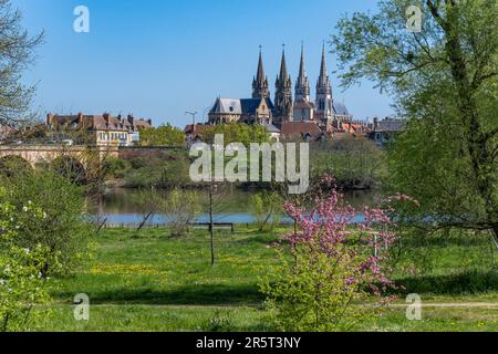 Francia, Allier, Moulins, la città vista dalla riva sinistra dell'Allier, la chiesa del Sacro cuore e la cattedrale di Notre Dame Foto Stock