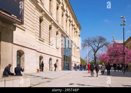 Francia, Parigi, il Jardin des Plantes, Museo Nazionale di Storia Naturale, ingresso alla Grande Galerie de l'Evolution, rue Geoffroy Saint Hilaire Foto Stock