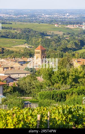 Francia, Rodano, villaggio di Salles Arbuissonnas en Beaujolais, vigneto Beaujolais Foto Stock