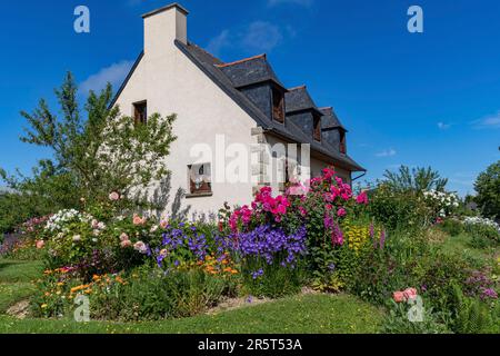 Francia, Cotes d'Armor, Lamballe-Armor, casa bretone con un giardino fiorito a Planguenoual Foto Stock