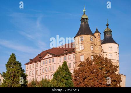 Francia, Doubs, Montbeliard, Castello dei Duchi di Wurtemberg Foto Stock