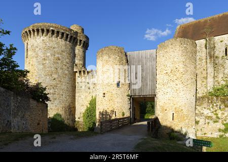 Francia, Yvelines, Parco Regionale dell'alta Valle di Chevreuse, Chevreuse, il castello di Madeleine Foto Stock