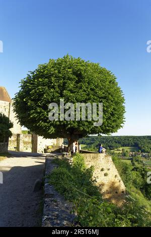 Francia, Yvelines, Parco Regionale dell'alta Valle di Chevreuse, Chevreuse, il castello di Madeleine Foto Stock