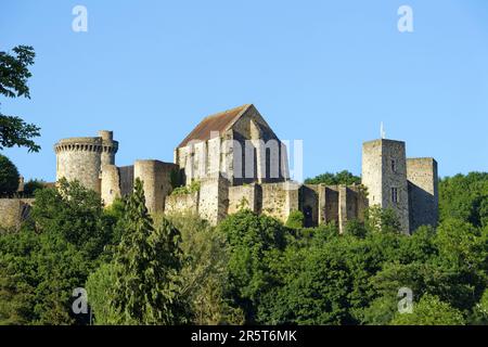 Francia, Yvelines, Parco Regionale dell'alta Valle di Chevreuse, Chevreuse, il castello di Madeleine Foto Stock