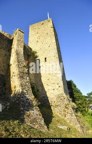 Francia, Yvelines, Parco Regionale dell'alta Valle di Chevreuse, Chevreuse, il castello di Madeleine Foto Stock