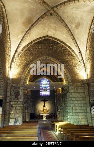 Francia, Yvelines, Parco Regionale della alta Valle di Chevreuse, Chevreuse, la chiesa Foto Stock