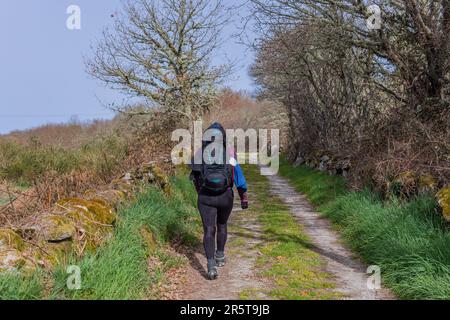 Navarra, Spagna, 04 dicembre, 2022: Passeggiata pellegrina lungo il Camino De Santiago, la Via San Itinerario di pellegrinaggio di James, Navarra, Spagna. Foto Stock