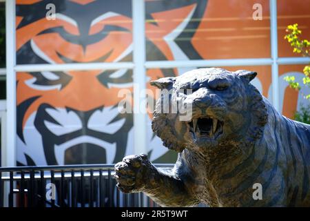 Idaho state University Bengala Tiger mascotte icona Pocatello College Education Foto Stock