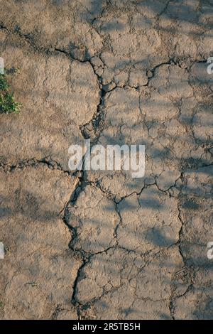 Uno scatto verticale di un paesaggio arido caratterizzato da terreno asciutto e incrinato Foto Stock