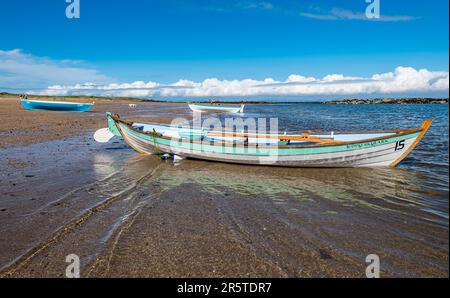 Barche da sci di St Ayles sulla spiaggia in regata costiera di canottaggio, Firth of Forth, North Berwick, East Lothian, Scozia, REGNO UNITO Foto Stock