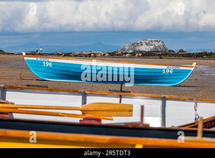 Barche da sci di St Ayles sulla spiaggia in regata costiera di canottaggio, Firth of Forth, North Berwick, East Lothian, Scozia, REGNO UNITO Foto Stock