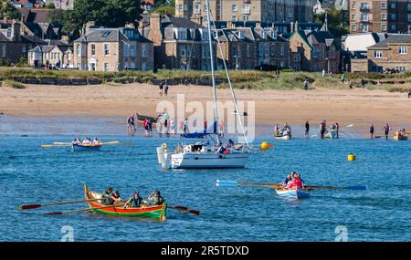 Barche da sci di St Ayles in regata costiera di canottaggio con sole, Firth of Forth, North Berwick, East Lothian, Scozia, REGNO UNITO Foto Stock