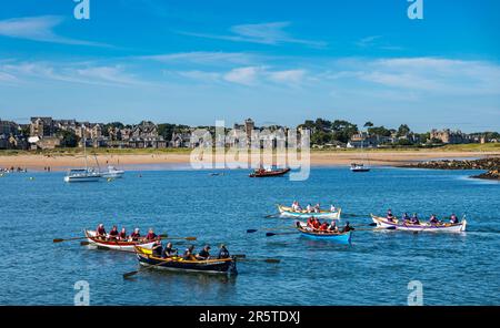 Barche da sci di St Ayles in regata costiera di canottaggio con sole, Firth of Forth, North Berwick, East Lothian, Scozia, REGNO UNITO Foto Stock