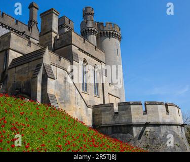 Sussex, Regno Unito - Aprile 29th 2023: Bellissimi tulipani presso lo storico Castello di Arundel ad Arundel, Sussex Occidentale. Foto Stock