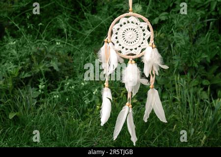 Bellissimo dreamcatcher, amuleto di sciamano nativo americano nella foresta estiva Foto Stock