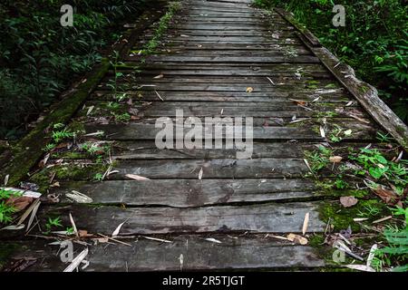 Vecchio ponte di legno nella foresta. Vista dal suolo del ponte con tavole di legno. Fotografia che consiste di un ponte di legno sopra il fiume per un parco naturale selvaggio. Piano Foto Stock