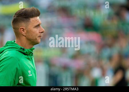 Siviglia, Spagna. 04th giugno, 2023. Joaquin Sanchez visto durante la Liga Santander 2022/2023 partita tra Real Betis e Valencia CF allo stadio Benito Villamarin. Punteggio finale; Real Betis 1:1 Valencia CF. Credit: SOPA Images Limited/Alamy Live News Foto Stock