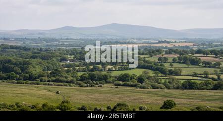 Un mosaico di campi agricoli e boschi copre colline ondulate nei pressi di Okehampton nel Devon occidentale, con gli alti torti di Dartmoor che si alzano dietro. Foto Stock