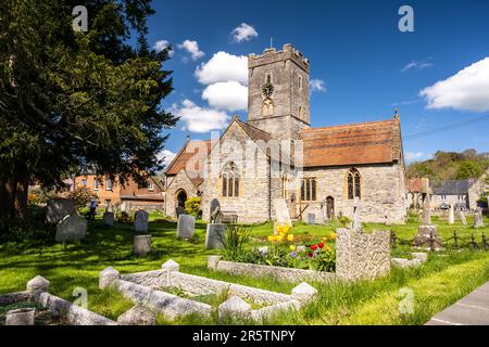 Il sole splende sulla tradizionale chiesa parrocchiale di San Michele e tutti gli Angeli a Bawdrip, Somerset. Foto Stock