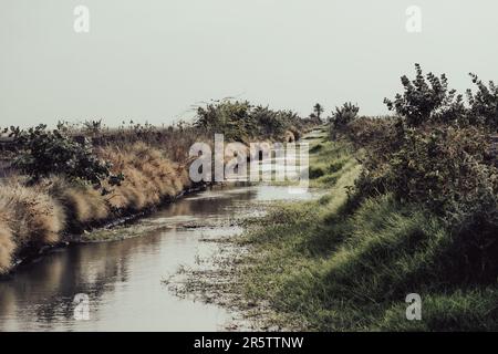 Una vista idilliaca del paesaggio con un fiume tortuoso circondato da un lussureggiante verde fogliame Foto Stock