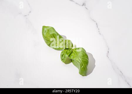 foglia di basilico su sfondo di marmo chiaro. Foto di alta qualità Foto Stock