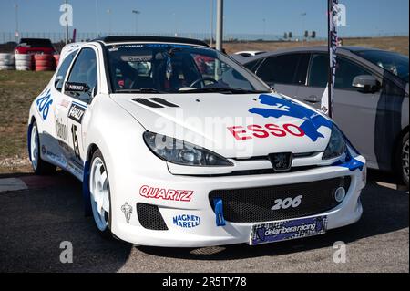 Particolare dell'impressionante raduno Peugeot 206 WRC con la decorazione e l'esso Foto Stock