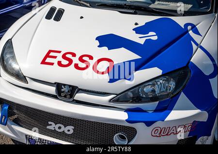 Particolare dell'impressionante raduno Peugeot 206 WRC con la decorazione e l'esso Foto Stock