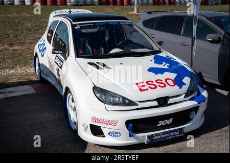 Particolare dell'impressionante raduno Peugeot 206 WRC con la decorazione e l'esso Foto Stock