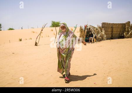 Mauritania, regione di Adrar, oasi di Tanouchert, donna Foto Stock