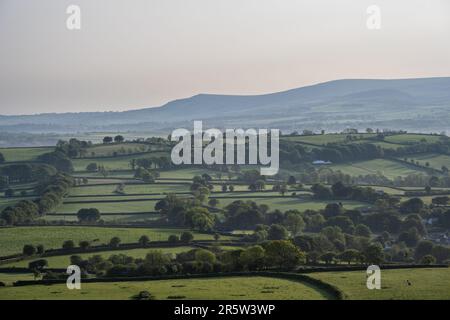 La luce mattutina splende su terreni agricoli vicino a North Brentor sotto le colline e i torti di Dartmoor nel Devon occidentale. Foto Stock