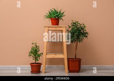 Sgabello in legno con piante in vaso vicino alla parete beige Foto stock -  Alamy