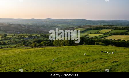 La luce del mattino splende sulla valle di Tavy e i torti occidentali di Dartmoor nel Devon occidentale. Foto Stock