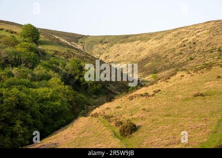 Il sole splende sulle ripide pendici del lago nel Dartmoor National Park in Inghilterra. Foto Stock