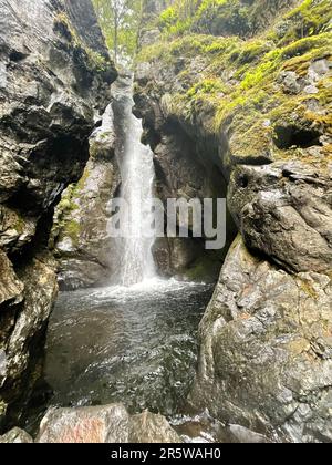 Un'impressionante vista di una torreggiante cascata che scende lungo un'aspra parete del canyon circondata da una vegetazione lussureggiante Foto Stock