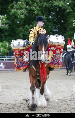 Drum Shire Horse Apollo al Royal Windsor Horse Show 2023, suonando con la Household Cavalry, Blues e Royals Foto Stock