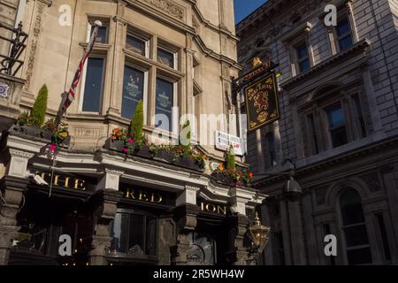 The Red Lion, Parliament Street, Londra, SW1, Inghilterra, REGNO UNITO Foto Stock