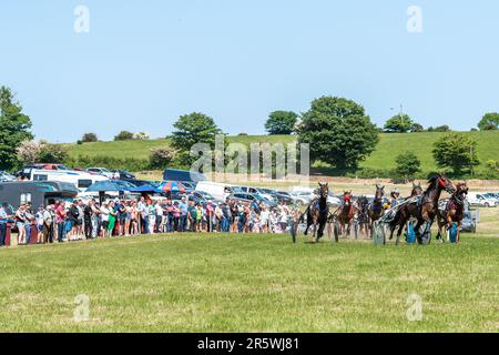 Lyre, West Cork, Irlanda. 5th giugno, 2023. L'Irish Harness Racing Association (IHRA) ha tenuto un weekend di festa irlandese americano a Lyre, vicino a Clonakilty durante il fine settimana delle vacanze in banca. Il lunedì delle feste della banca è stato il giorno delle finali con una carta da corsa di $8 e una buona folla di spettatori. Una grande folla ha guardato l'azione. Credit: AG News/Alamy Live News Foto Stock