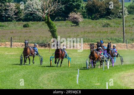 Lyre, West Cork, Irlanda. 5th giugno, 2023. L'Irish Harness Racing Association (IHRA) ha tenuto un weekend di festa irlandese americano a Lyre, vicino a Clonakilty durante il fine settimana delle vacanze in banca. Il lunedì delle feste della banca è stato il giorno delle finali con una carta da corsa di $8 e una buona folla di spettatori. Gara 4 è stata vicina dal cancello al traguardo. Credit: AG News/Alamy Live News Foto Stock