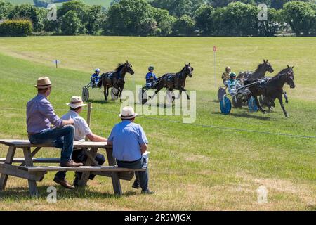 Lyre, West Cork, Irlanda. 5th giugno, 2023. L'Irish Harness Racing Association (IHRA) ha tenuto un weekend di festa irlandese americano a Lyre, vicino a Clonakilty durante il fine settimana delle vacanze in banca. Il lunedì delle feste della banca è stato il giorno delle finali con una carta da corsa di $8 e una buona folla di spettatori. Gara 5 è stata vicina dal cancello al traguardo. Credit: AG News/Alamy Live News Foto Stock