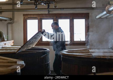 I rislavi alla Distilleria Ardbeg, Isle of Islay, Inner Hebrides, Scozia, Regno Unito Foto Stock