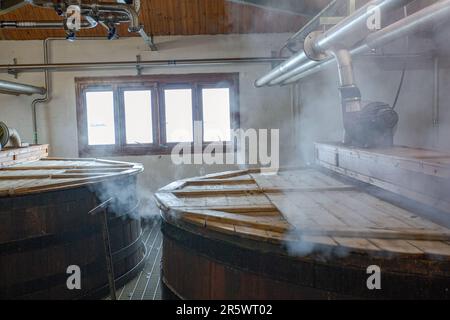 I rislavi alla Distilleria Ardbeg, Isle of Islay, Inner Hebrides, Scozia, Regno Unito Foto Stock