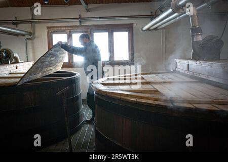 I rislavi alla Distilleria Ardbeg, Isle of Islay, Inner Hebrides, Scozia, Regno Unito Foto Stock