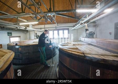 I rislavi alla Distilleria Ardbeg, Isle of Islay, Inner Hebrides, Scozia, Regno Unito Foto Stock