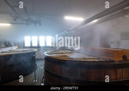 I rislavi alla Distilleria Ardbeg, Isle of Islay, Inner Hebrides, Scozia, Regno Unito Foto Stock