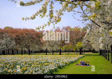 Schwetzingen, primavera nei giardini del Palazzo Foto Stock