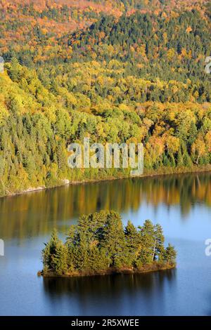 Pine Island, Lake Wapizagonke, la Mauricie National Park, Quebec, Canada Foto Stock