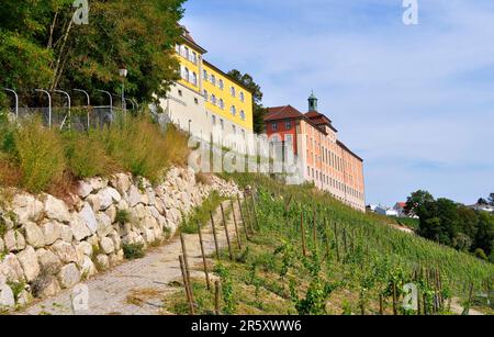 Sul lago di Costanza, Meersburg, il castello, i vigneti, l'azienda vinicola statale di Meersburg, Azienda vinicola statale e scuola di grammatica Droste-Huelshoff Foto Stock