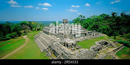 Palenque, vicino a Villahermosa, Chiapas, Messico Foto Stock