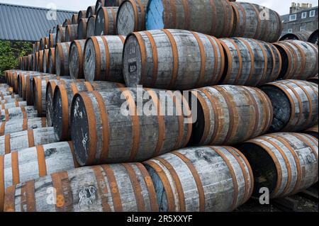 Botti di legno, distilleria di whisky Springbank Distillery, Campbeltown, Argyll and Bute, Kintyre Peninsula, Scozia, whisky, botte di legno, botte, botte Foto Stock