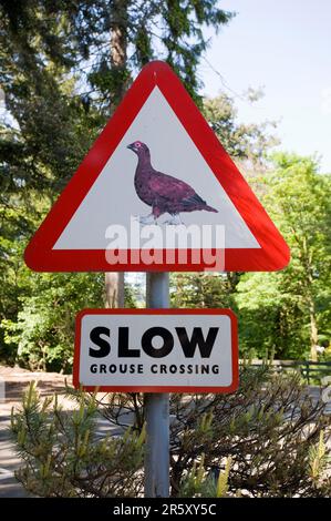 Avvertimento "Cross Grouse brilla lentamente", Crieff, Scozia, la famosa Grouse Experience, Glenturret Whisky Distillery Foto Stock